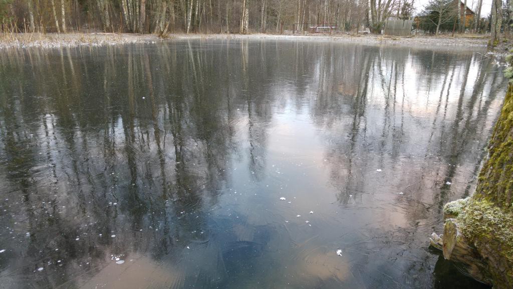 ice on pond