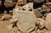 dsc_0002_small.jpg