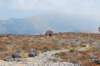 dsc_0033_small.jpg