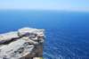 dsc_0049_small.jpg