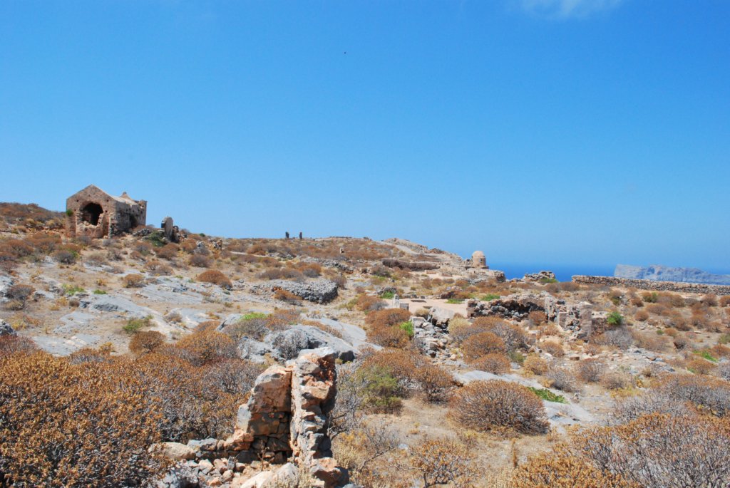 dsc_0061.jpg