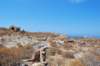 dsc_0061_small.jpg
