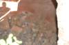 dsc_0077_small.jpg