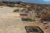 dsc_0078_small.jpg