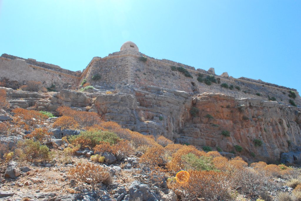 dsc_0082.jpg