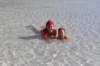 dsc_0085_small.jpg