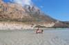 dsc_0088_small.jpg