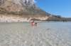 dsc_0090_small.jpg