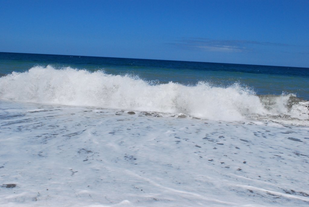 dsc_0110.jpg