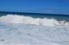 dsc_0110_small.jpg