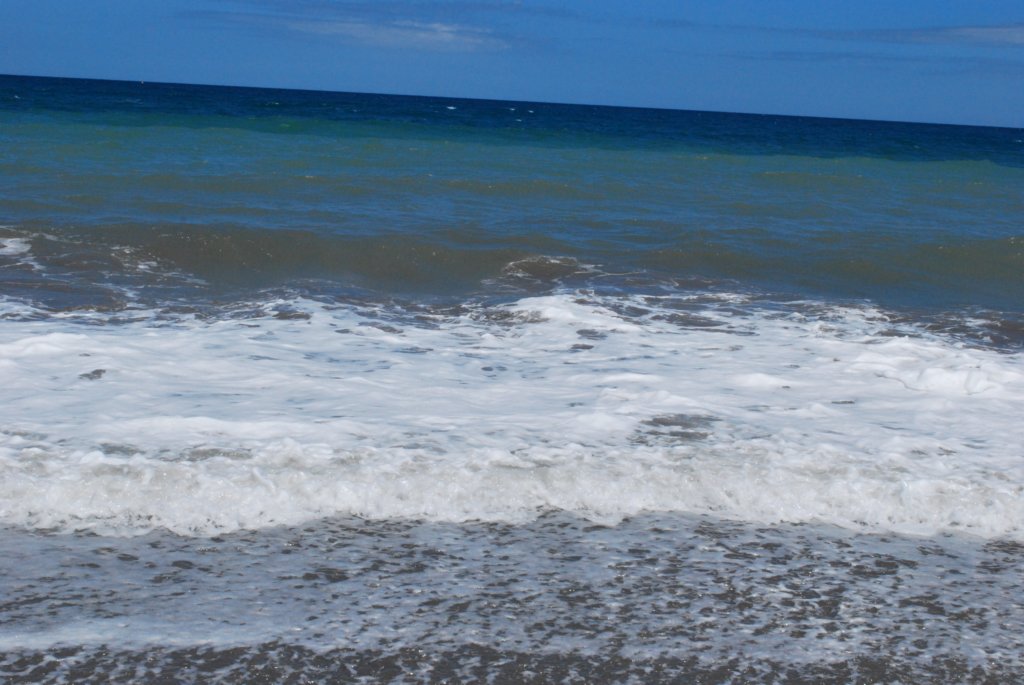 dsc_0117.jpg