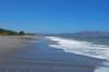 dsc_0118_small.jpg