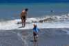 dsc_0145_small.jpg