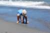 dsc_0158_small.jpg