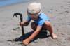 dsc_0164_small.jpg