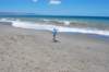 dsc_0203_small.jpg