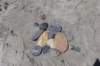 dsc_0214_small.jpg