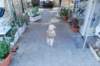 dsc_0245_small.jpg