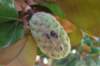 dsc_0247_small.jpg