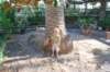 dsc_0248_small.jpg