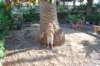 dsc_0249_small.jpg