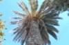 dsc_0250_small.jpg