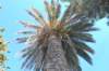 dsc_0251_small.jpg