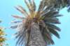 dsc_0252_small.jpg