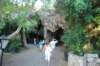 dsc_0272_small.jpg