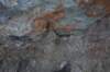 dsc_0273_small.jpg