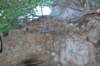 dsc_0276_small.jpg
