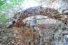 dsc_0278_small.jpg