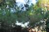 dsc_0281_small.jpg
