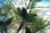 dsc_0282_small.jpg