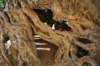 dsc_0285_small.jpg