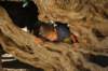 dsc_0286_small.jpg