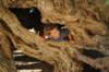 dsc_0287_small.jpg