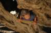 dsc_0288_small.jpg