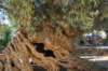 dsc_0289_small.jpg