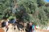 dsc_0290_small.jpg