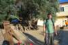 dsc_0295_small.jpg