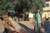 dsc_0296_small.jpg