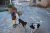 dsc_0297_small.jpg