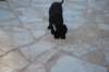 dsc_0298_small.jpg