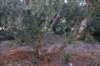 dsc_0307_small.jpg