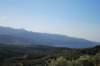 dsc_0310_small.jpg
