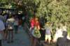 dsc_0313_small.jpg