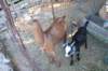 dsc_0315_small.jpg
