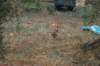 dsc_0321_small.jpg