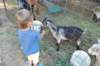 dsc_0322_small.jpg